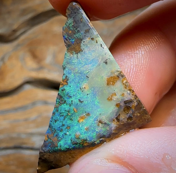 Auktion lose 26,4 ct - Queensland Boulder Seam Opal Rub