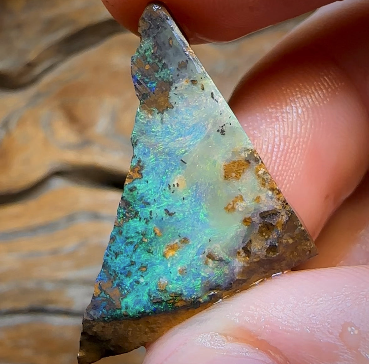 26.4cts - Queensland Boulder Seam Opal Rub