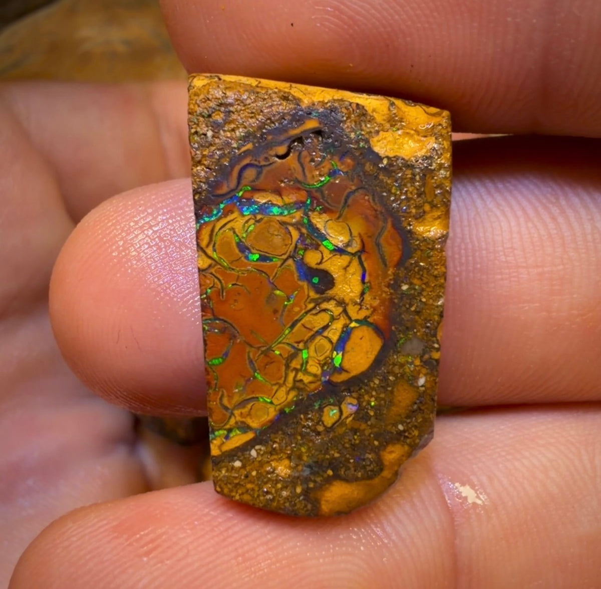 🔒183,2 ct – 6x Rohopal aus Yowah-Nuss. Australischer Boulder-Opal.
