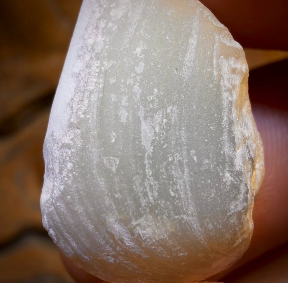 26.3cts - Opalised Shell Rare Geological Rough Specimen from Lightning Ridge