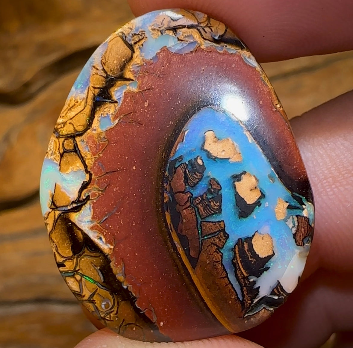 45.4cts - Yowah Nut Kernel Australian Opal Picture Stone - Opal Whisperers