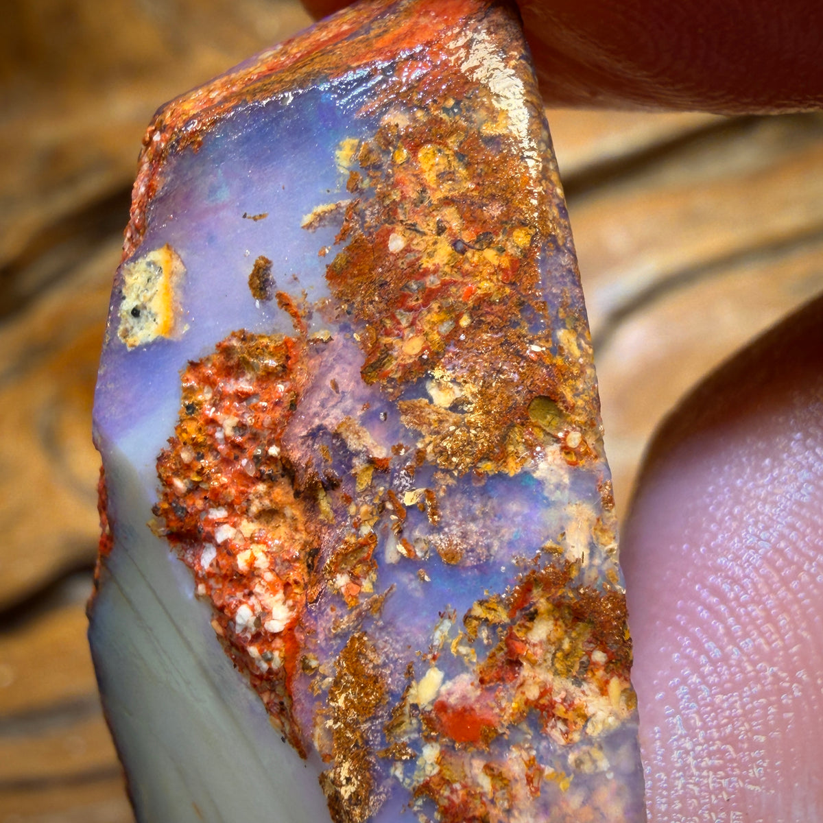 56.1cts - Boulder Pipe Opal Rough Piece. Australian Opal