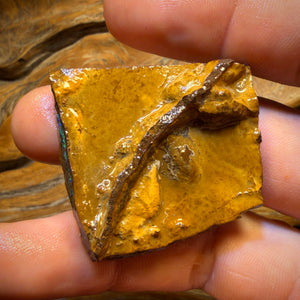 Half Price Card! 124cts - Yowah Opal Rough Piece. Biscuit Band Hit the Bar and Win Big!