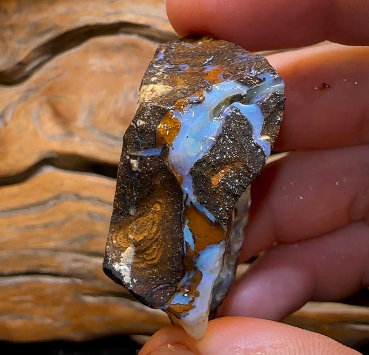 302.9cts - Queensland Boulder Seam Opal Rough Specimen - Opal Whisperers