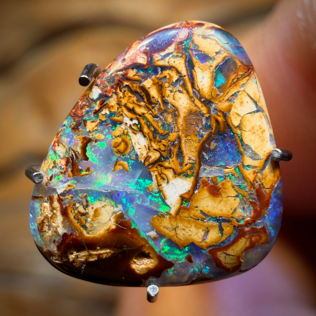 🔨 AUCTION 🔨 No Reserve 2.2cts - Queensland Boulder Opal from Yowah. Australian Opal