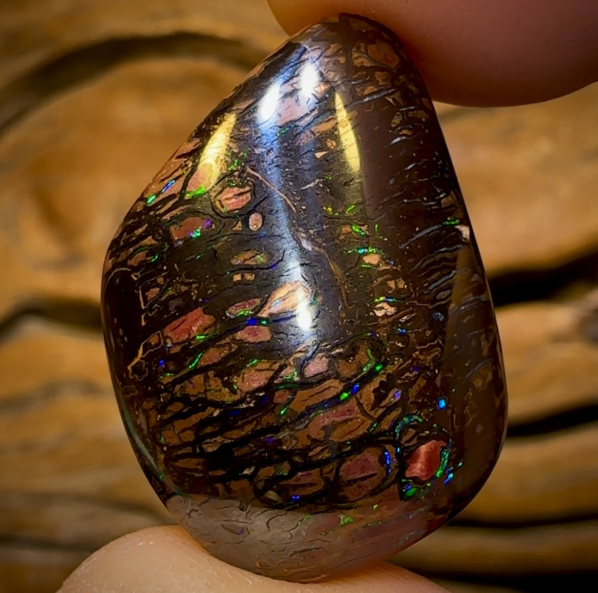 Auction Fall-Through = Your Gain! 🔥 Now More Than 50% Off RRP 🚨 43.8cts - Tribal Queensland Black Boulder Opal from Koroit. Great Cut