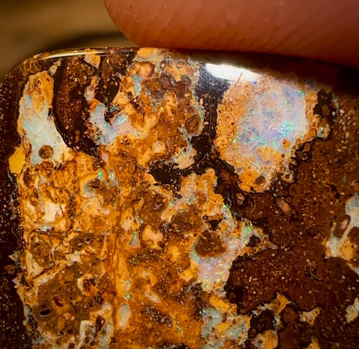 🔨 AUCTION 🔨 No Reserve 21.6cts - Yowah Nut Opal