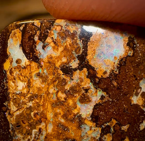 🔨 AUCTION 🔨 No Reserve 21.6cts - Yowah Nut Opal