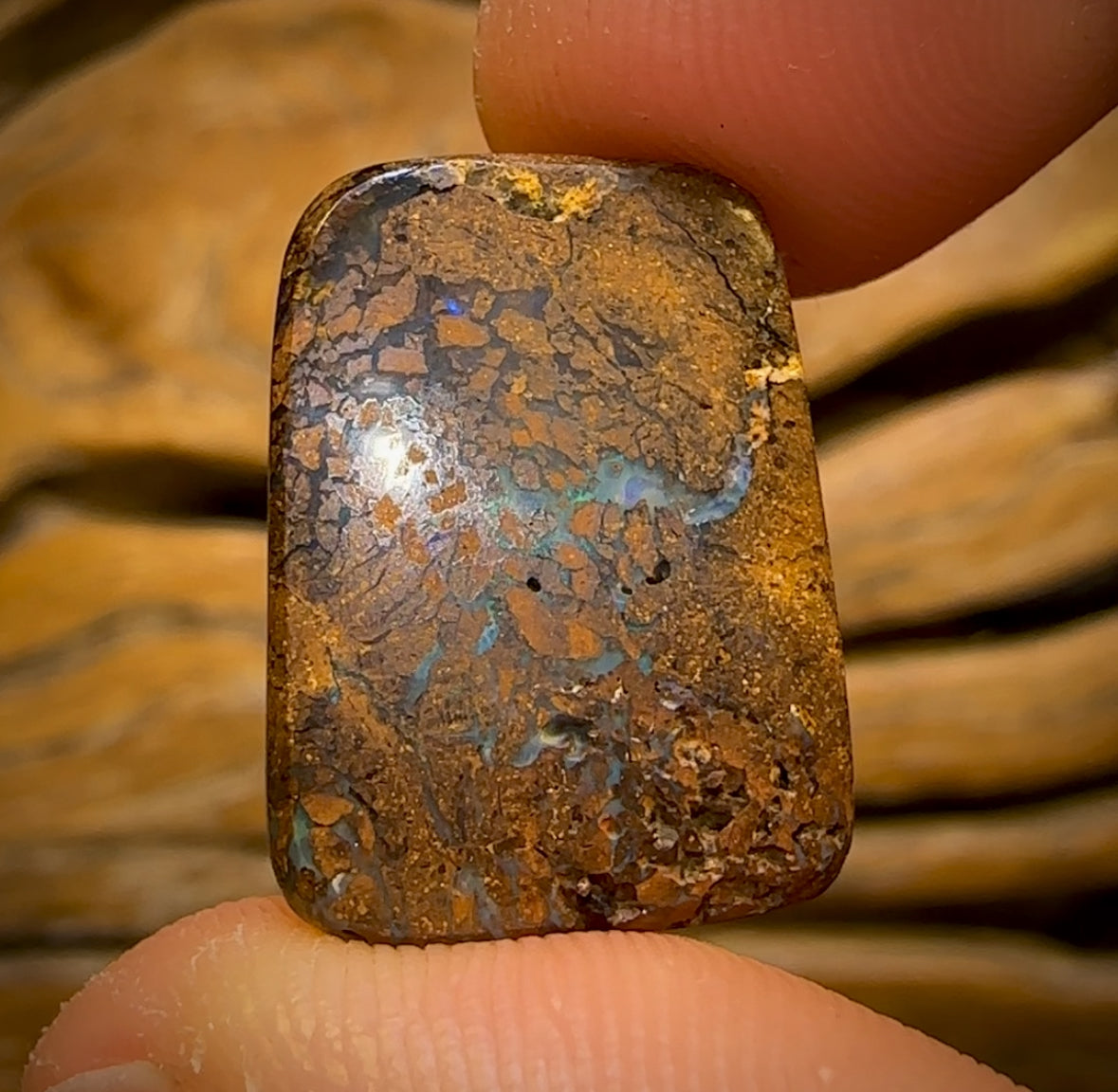 22.1cts - “Digital Script” Queensland Boulder Opal from Yowah. Metallic Green!