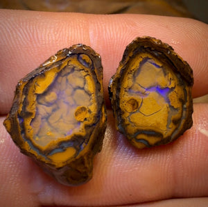 OpalFest Wildcard 40% Off 24.9cts - Yowah Nut Partial Crystal Centre Rough Specimen Pair