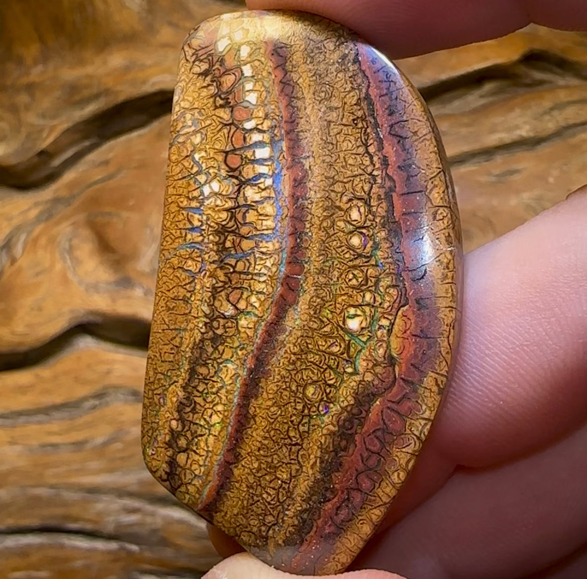 103.6cts - “Tribal Tock Art” Queensland Boulder Opal. Yowah Picture Stone - Opal Whisperers