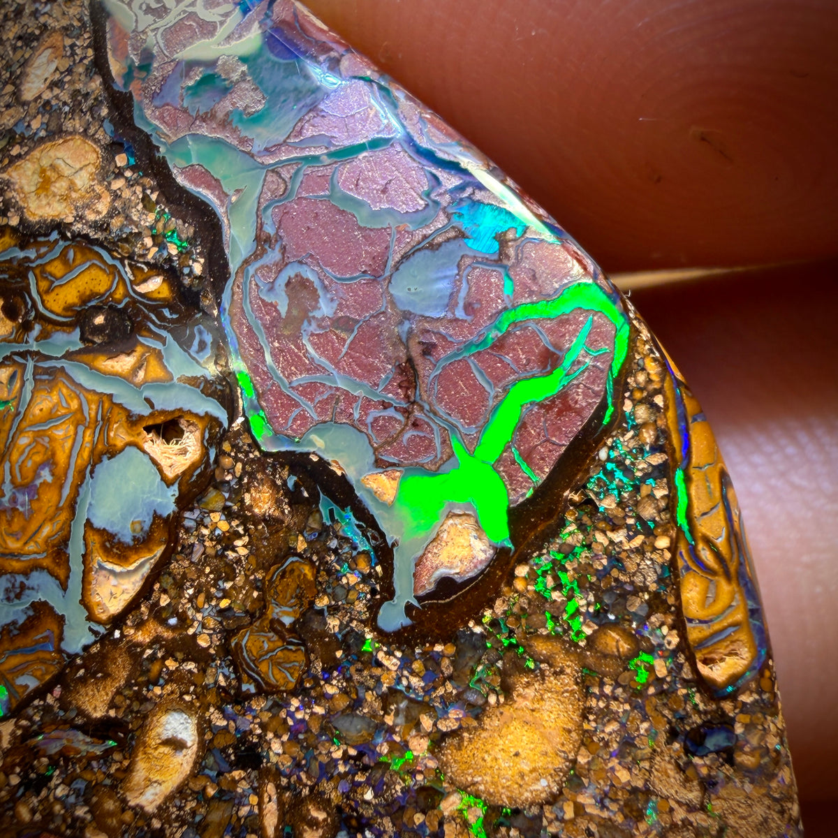 66.9cts - “Celebrity Stone” Tribal Queensland Boulder Opal from Yowah