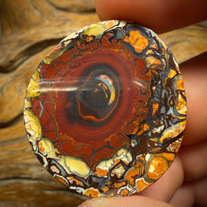 61.1cts - Tribal Queensland Boulder Opal from Yowah