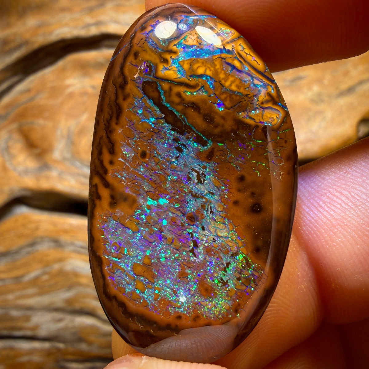 61.2cts - Top Queensland Boulder Opal from Yowah