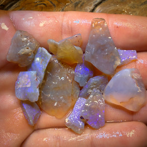 61.5cts - 15x Lightning Ridge Opal Rough Parcel. Inlay and Doublet Material