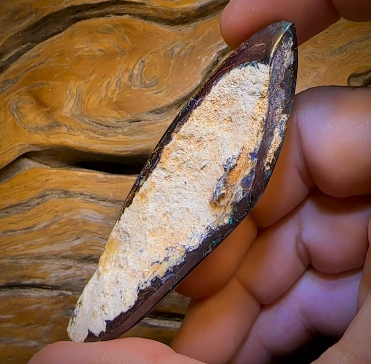 246.5cts - Tribal Queensland Boulder Opal. Polished Specimen