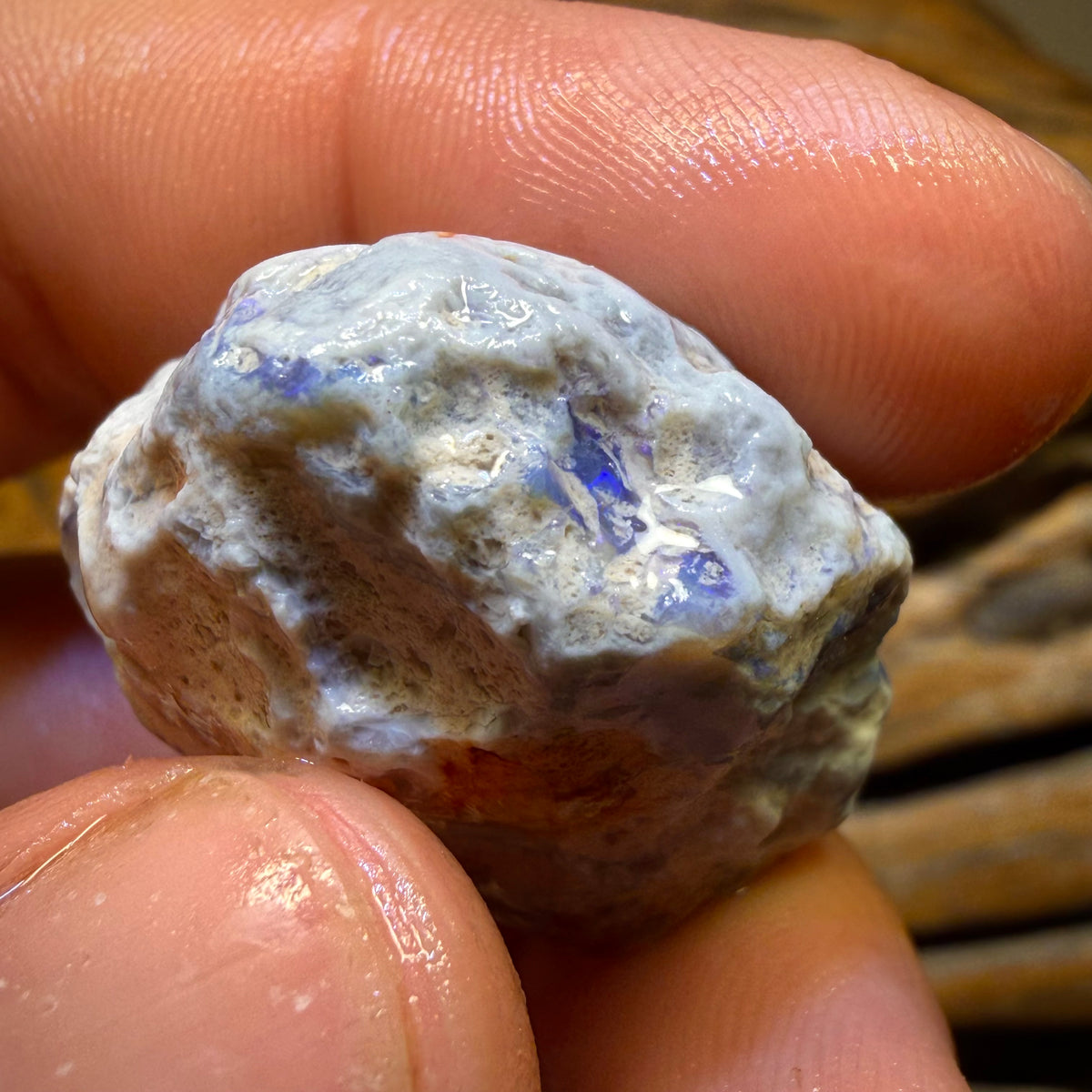 256,7 Karat – 3x Lightning Ridge Opal-Rohsteine