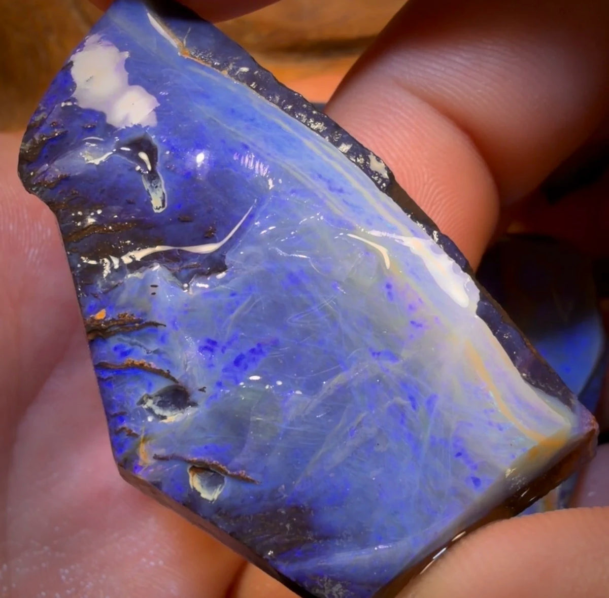 🔒 I’ve Got the Blues Collection 391.6cts - 3x Australian Boulder Seam Opal Rough Parcel