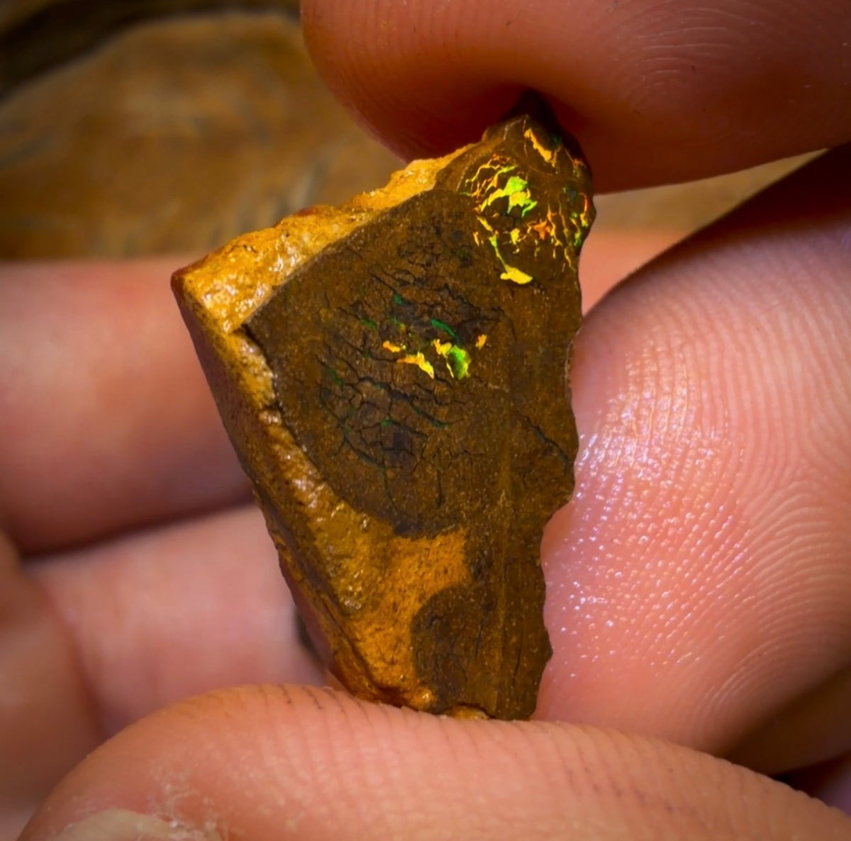 🔒99.2cts - 5x Australian Boulder Opal Rough Parcel