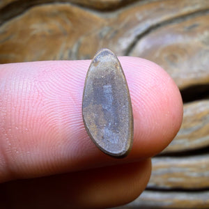 2.1cts - Australian Boulder Opal Doublet