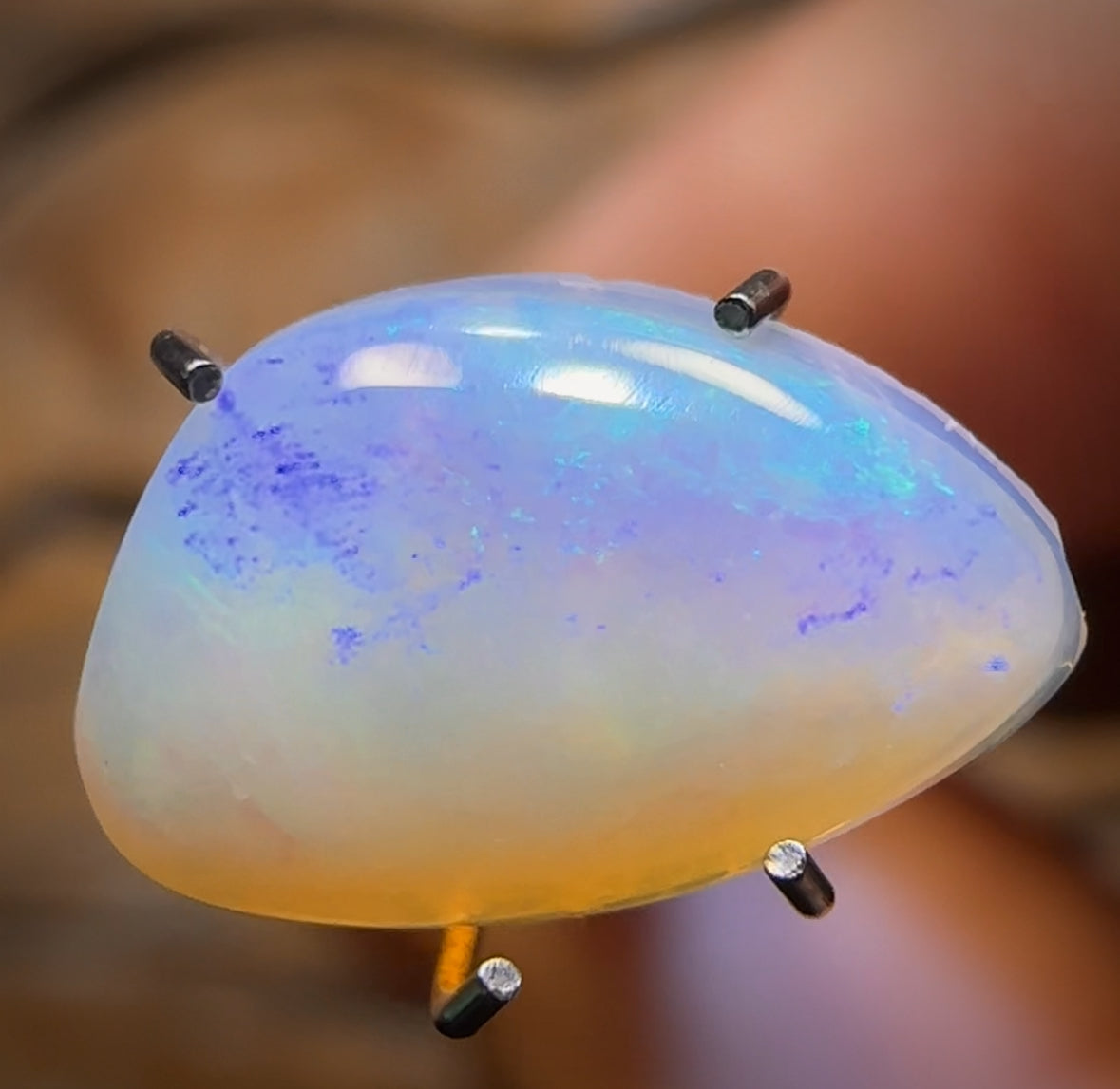 1.6cts - Solid Australian Boulder Pipe Crystal Opal. BARGAIN