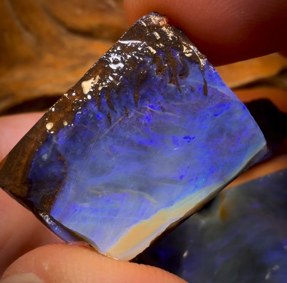 🔒 I’ve Got the Blues Collection 124cts - 3x Australian Boulder Seam Opal Rough Parcel