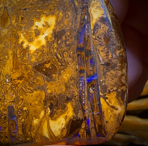 388cts - Large Australian Boulder Wood Fossil Opal Specimen