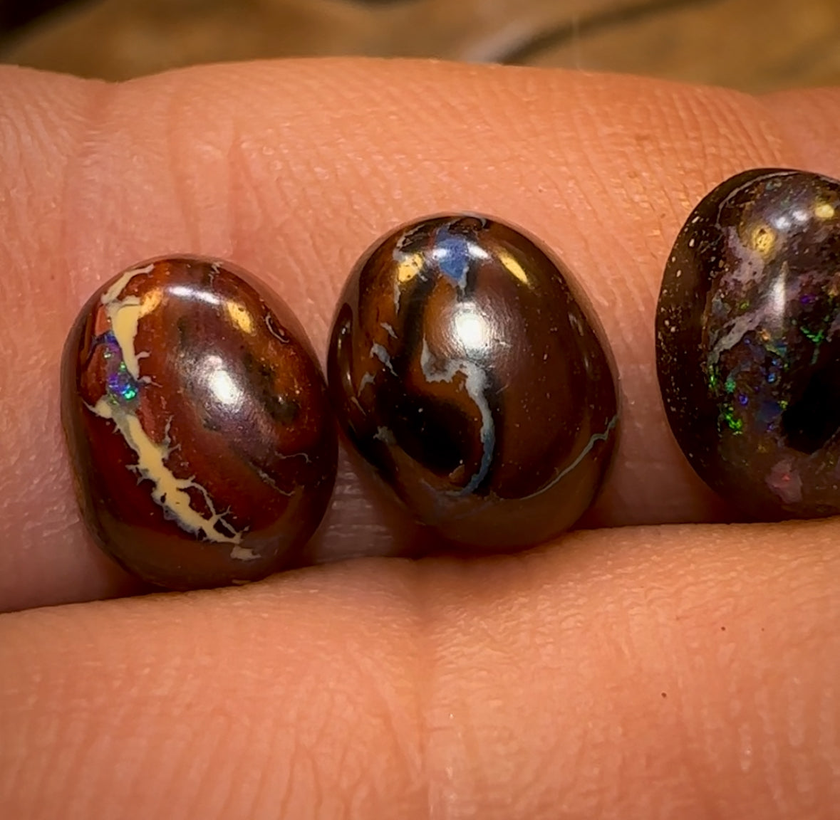 12.6cts - 5x Finished Queensland Boulder Opals. Wholesale Parcel CALIBRATED