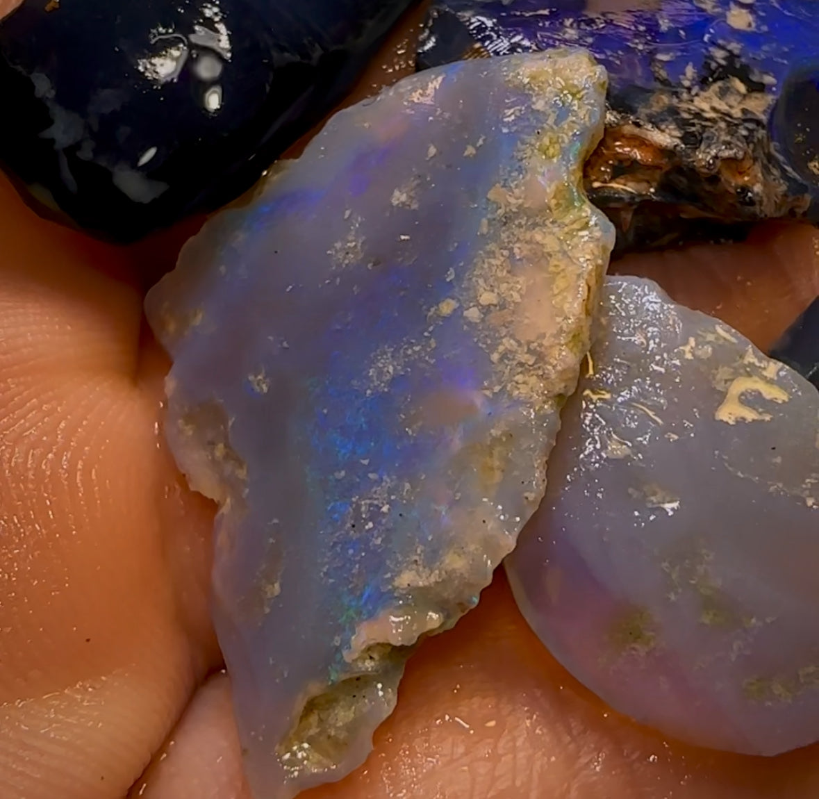 58.1cts - 8x Lightning Ridge Opal Rough Parcel Blacks and Crystals