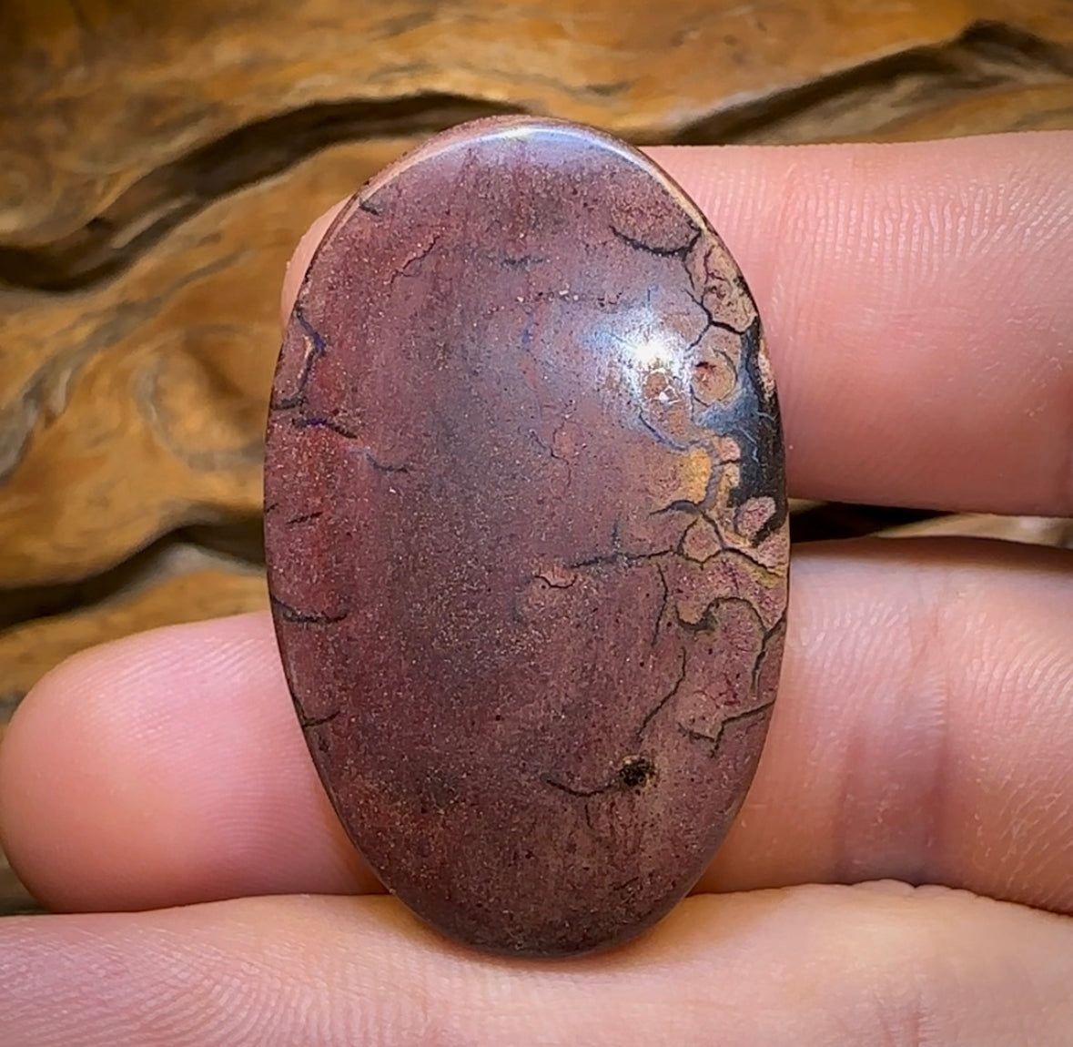 109.1cts - Yowah Nut Kernel Opal. Australian Opal Double Sided - Opal Whisperers