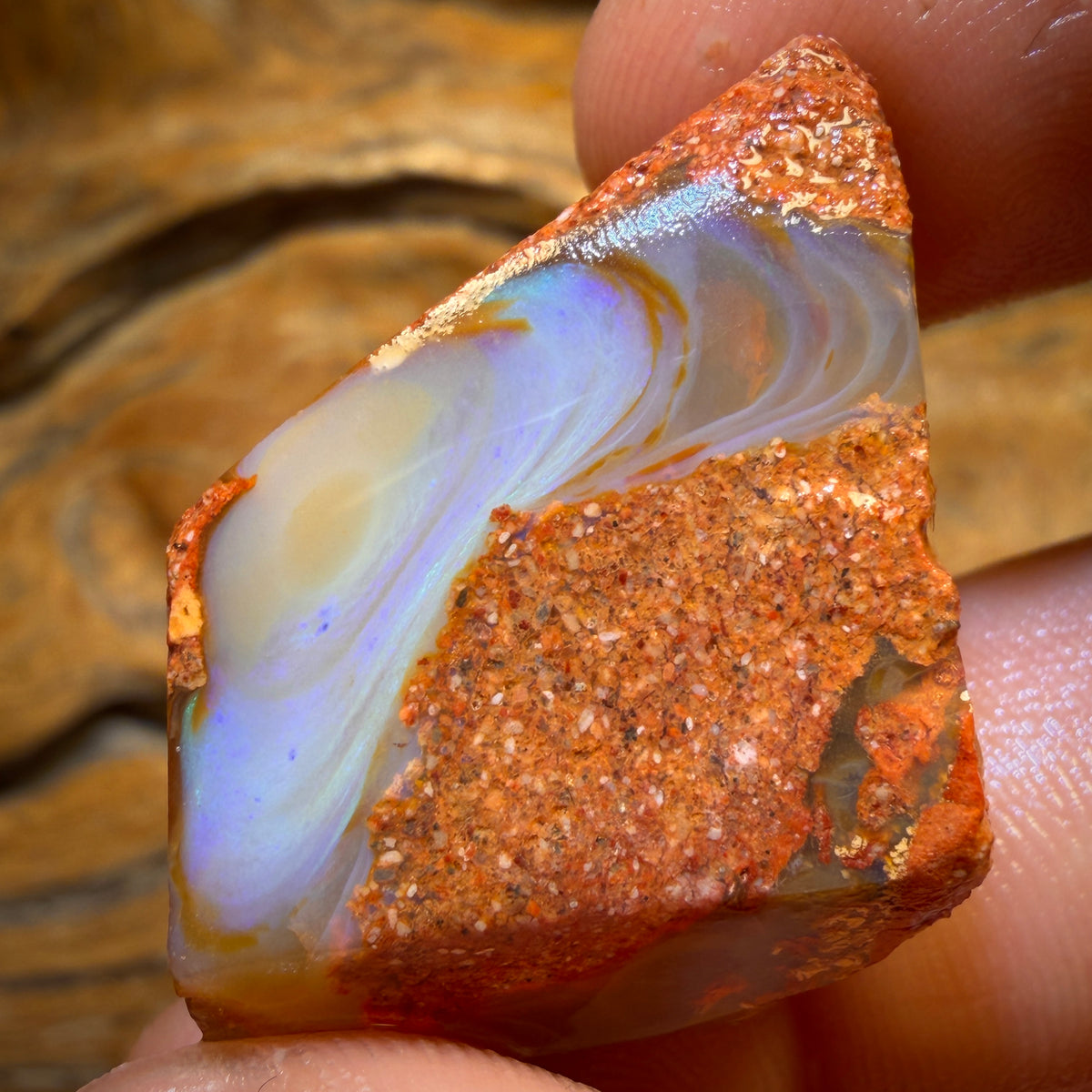 62.5cts - Boulder Pipe Opal Rough Piece. Australian Opal