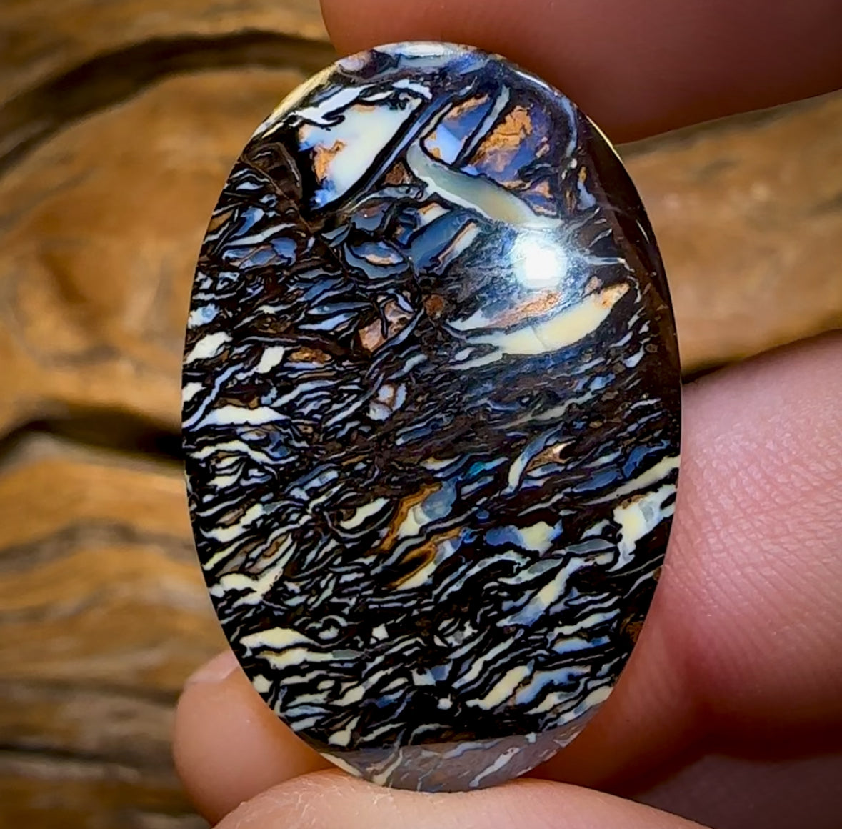 41.6cts - “Priceless” Queensland Boulder Opal. Tribal Matrix