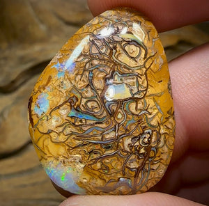 28.8cts - Yowah Nut Opal. Tan, Yellow Tribal with Crystal edges.