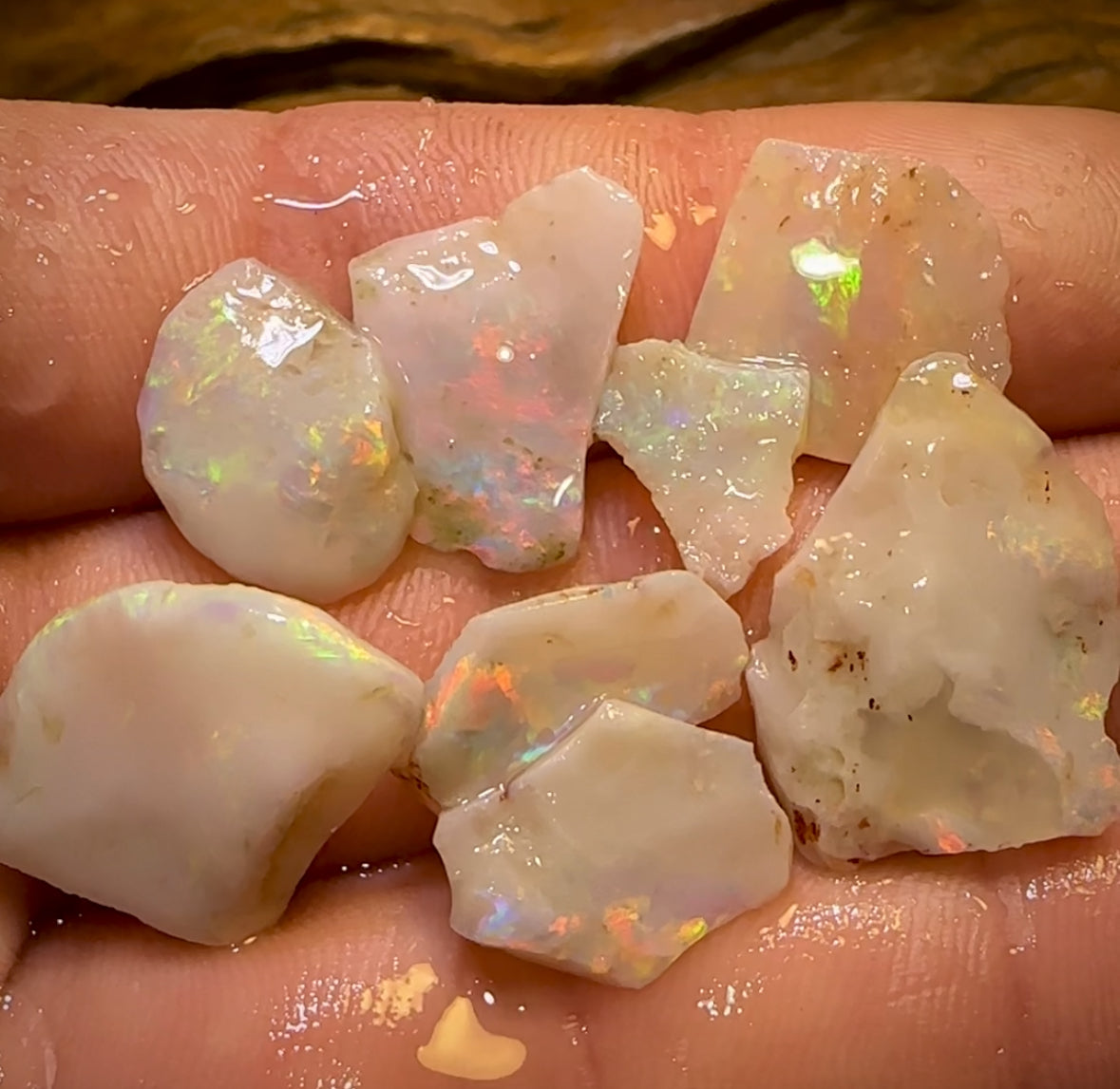 29.7cts - 8x Lightning Ridge Light Opal Rough Parcel