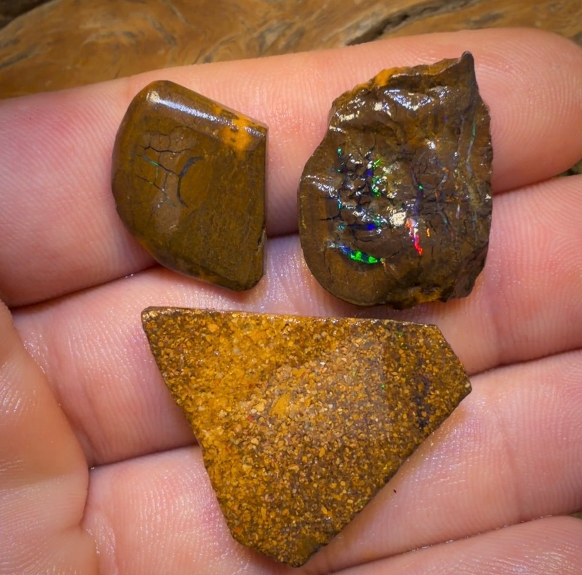 🔒74.8cts - 3x Queensland Boulder Opal Rubs. Bubble Band