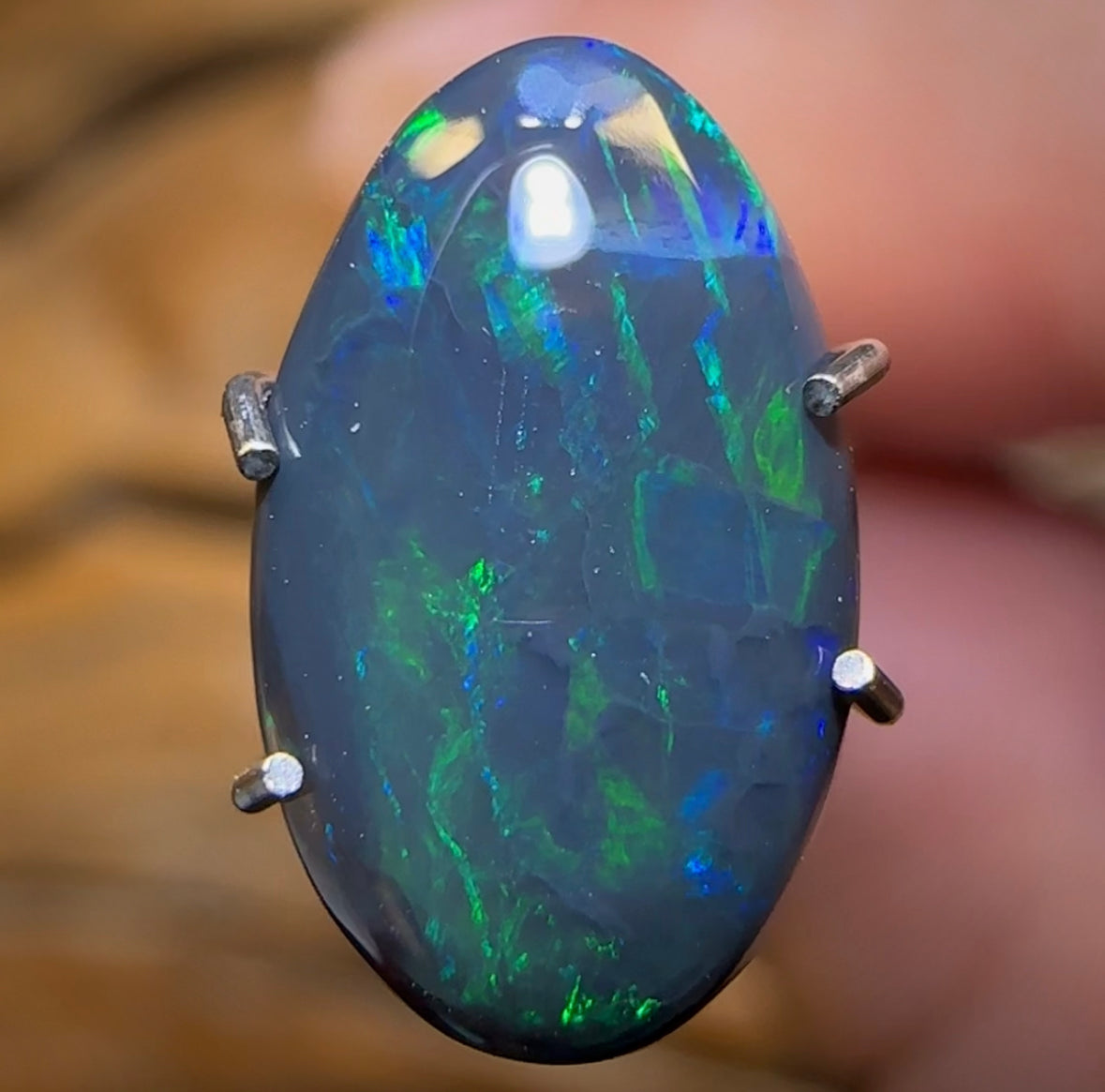 1.6cts - Black Opal from Lightning Ridge - Opal Whisperers