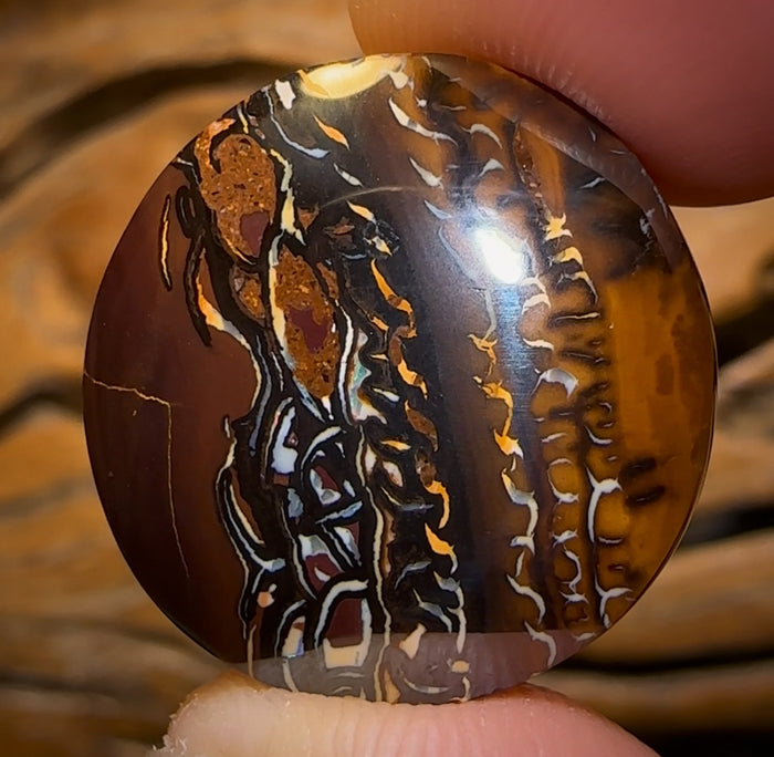 🔨 AUCTION 🔨 35.5cts - Queensland Boulder Opal from Koroit