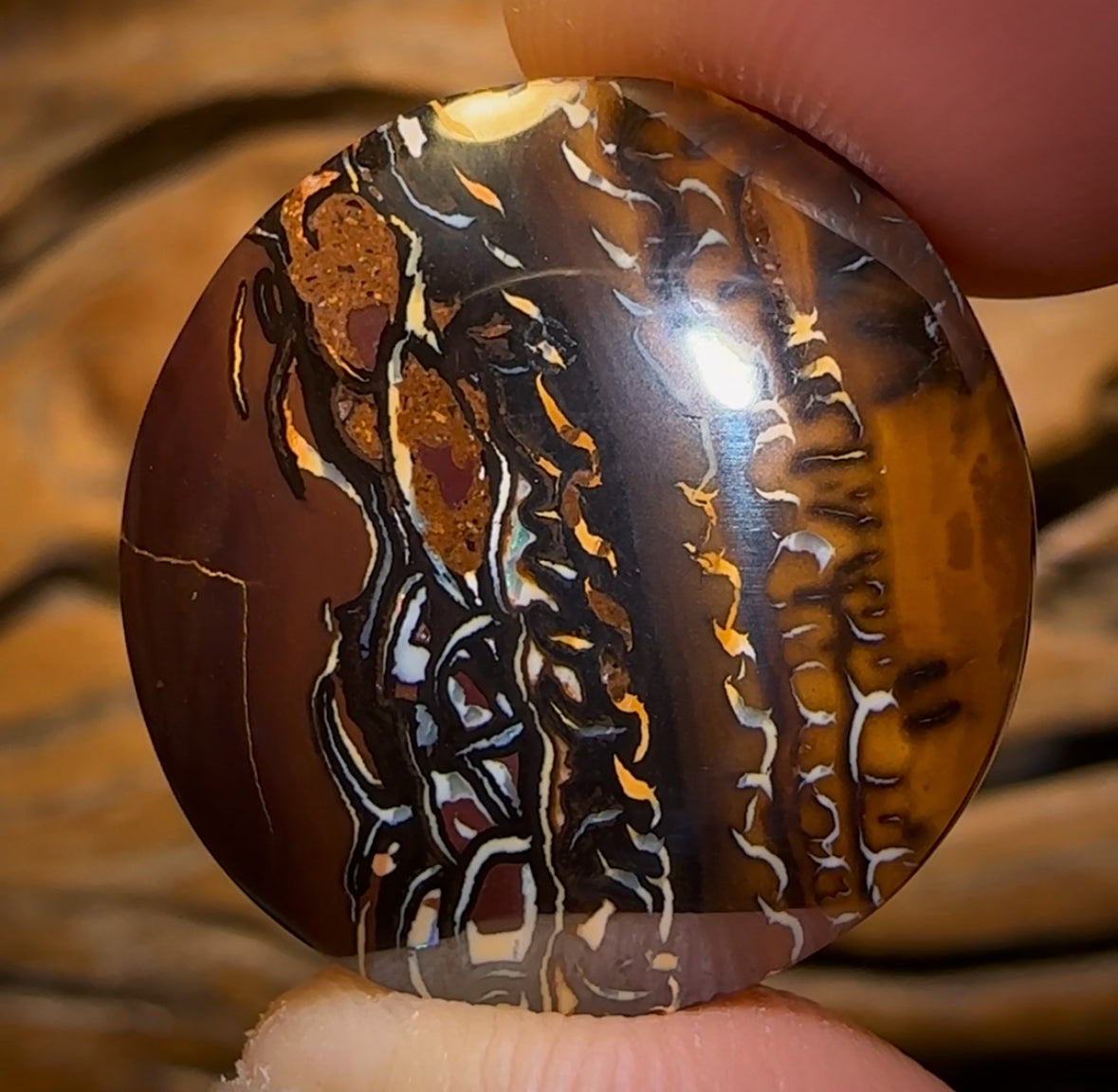 35.5cts - Queensland Boulder Opal from Koroit