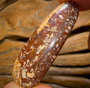 30.1cts - Highly Artistic Tribal Yowah Nut Opal. ‘Art of Opal’ Candidate