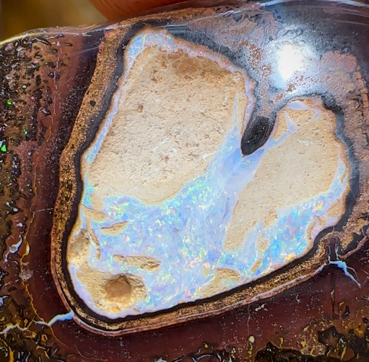 248cts - Australian Yowah Boulder Opal Kernel Specimen with Tribal - Opal Whisperers