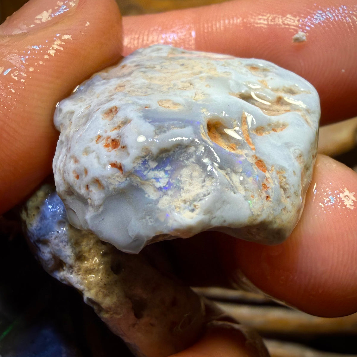 263.5cts - 3x Lightning Ridge Opal Rough Parcel