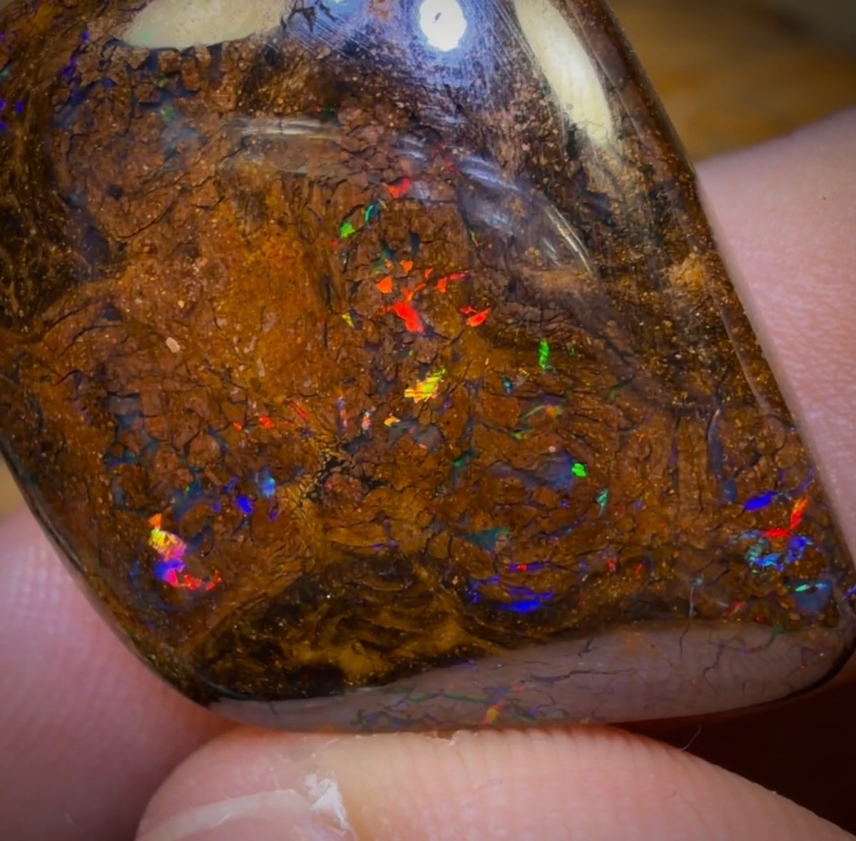 46.2cts - Queensland Boulder Opal. Bubbleband Formation With Red