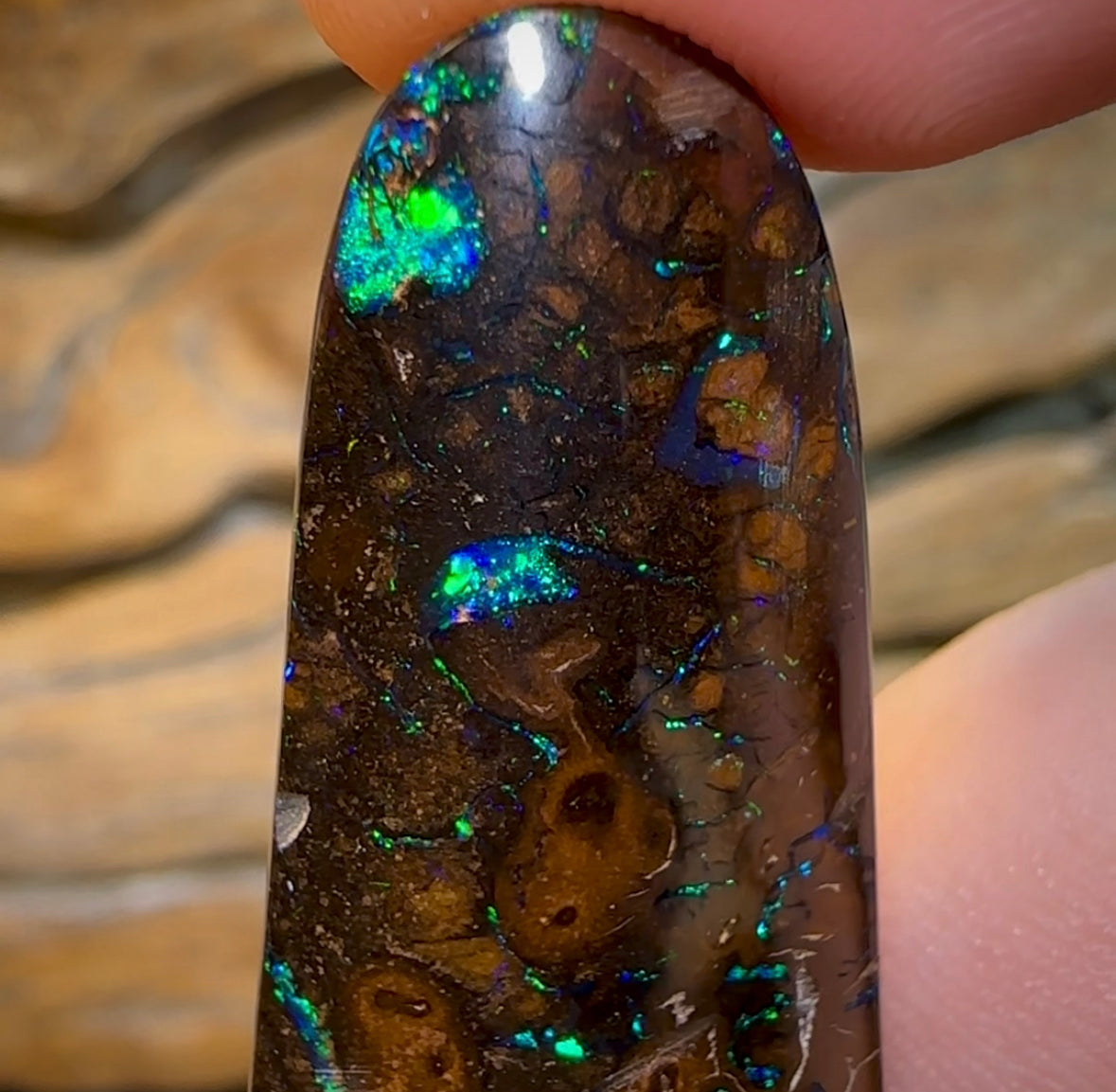 71.4cts - Tribal Koroit Nut Opal - Opal Whisperers