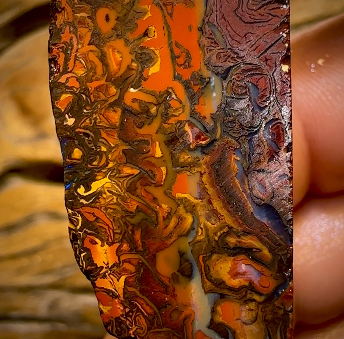 173,1 ct – Rohstück eines Boulderopals aus Koroit, Queensland (Stammesgebiet)
