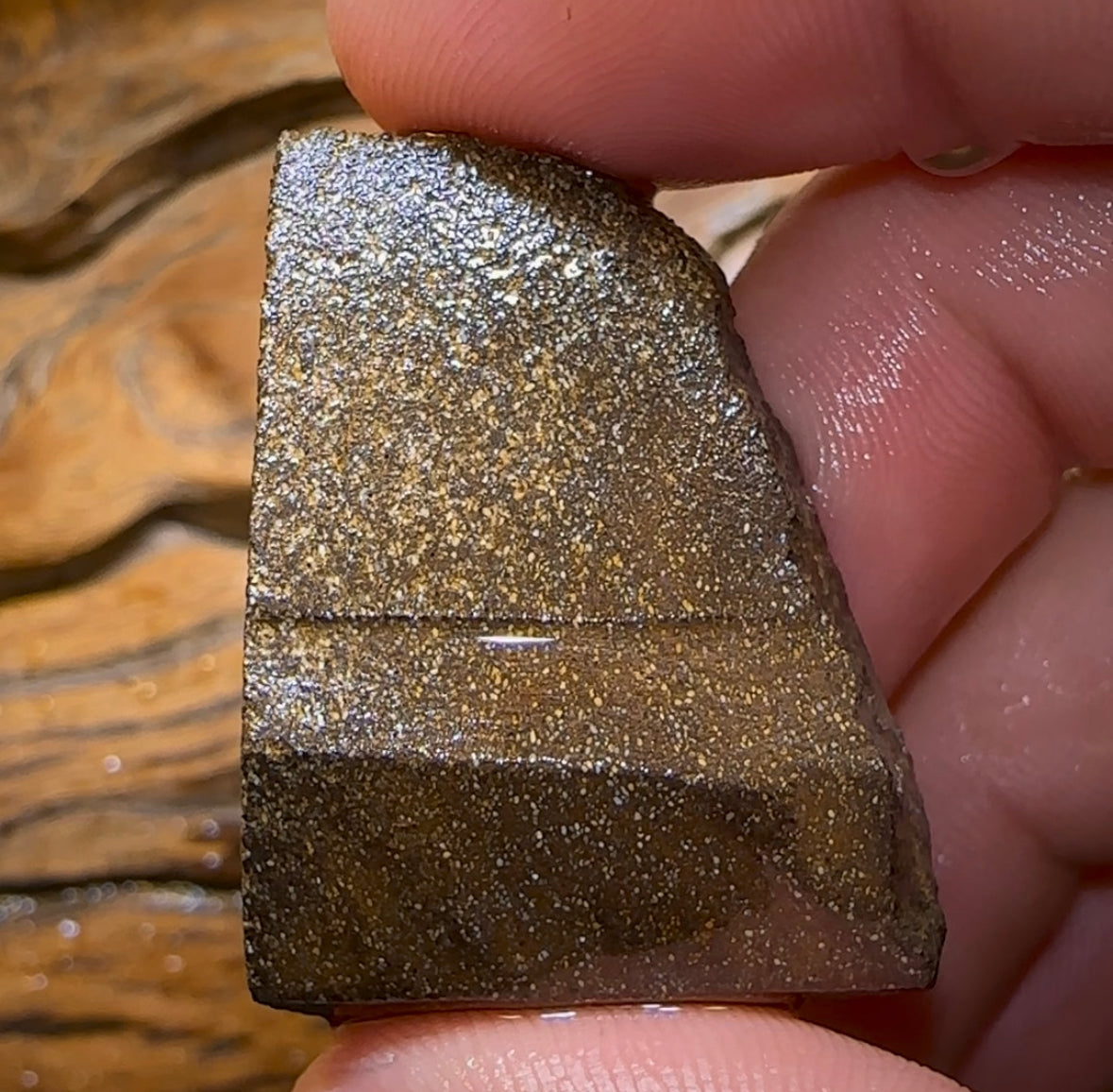 92.4cts - Large Australian Boulder Opal Rough Preform. Natural Split - Opal Whisperers