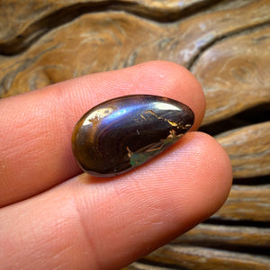 9.6cts - Yowah Nut Kernel Opal. Australian Boulder Opal