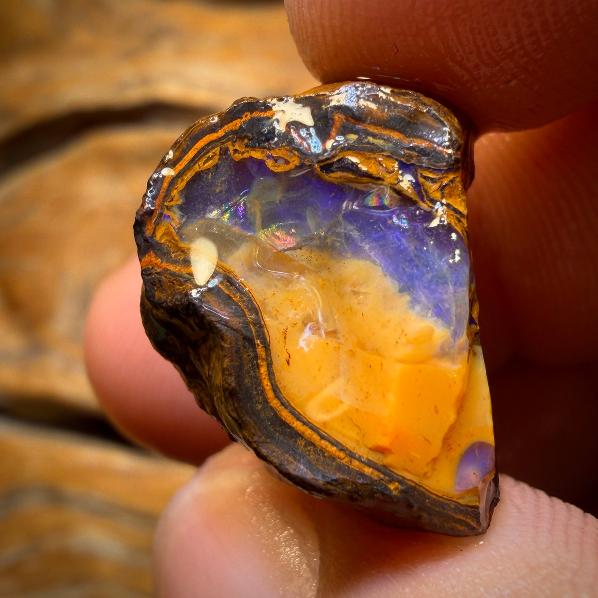 37.1cts - Yowah Nut Crystal Centre Opal Rough Piece