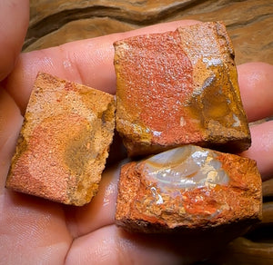 323.9cts - 3x Queensland Boulder Pipe Opal Rough Parcel