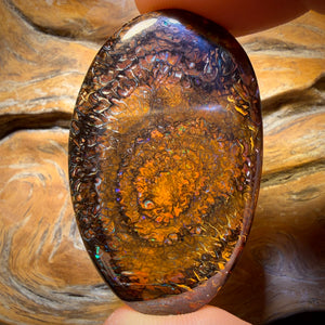 63.1cts - Tribal Queensland Boulder Opal from Yowah
