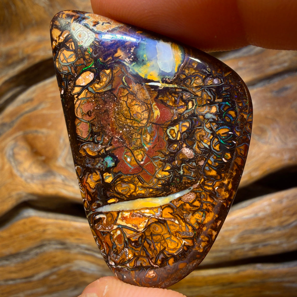 63.9cts - Tribal Queensland Boulder Opal from Yowah